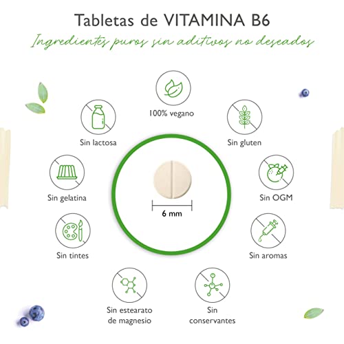 Vitamina B6 como P-5-P - 240 comprimidos con una dosis extra alta de 25 mg (piridoxal-5-fosfato) - Premium: Vitamina B6 bioactiva - Sin aditivos no deseados - Vegano