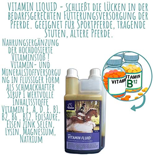 Vitaminas + Aminoácidos Booster I Zinc Selen I Vitamina A D E B Complejo B1 B2 B6 B12 Ácido fólico I A-Z Minerales I Sistema inmunológico I Alta dosis Potro Stuten Viejo Caballo 1L + 30 ml