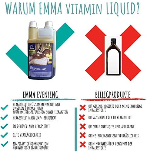 Vitaminas + Aminoácidos Booster I Zinc Selen I Vitamina A D E B Complejo B1 B2 B6 B12 Ácido fólico I A-Z Minerales I Sistema inmunológico I Alta dosis Potro Stuten Viejo Caballo 1L + 30 ml