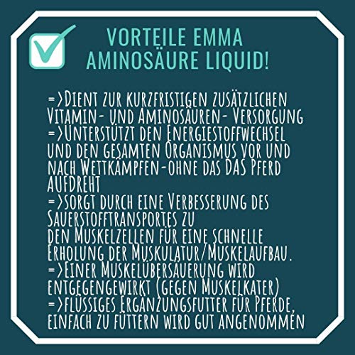 Vitaminas + Aminoácidos Booster I Zinc Selen I Vitamina A D E B Complejo B1 B2 B6 B12 Ácido fólico I A-Z Minerales I Sistema inmunológico I Alta dosis Potro Stuten Viejo Caballo 1L + 30 ml