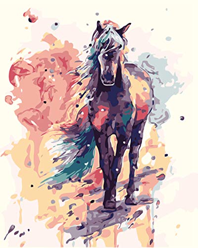 VOLKSLAND Kit de pintura por números sin marco para adultos y niños, pintura al óleo de 40,6 x 50,8 cm con pinceles y pigmento acrílico, caballo