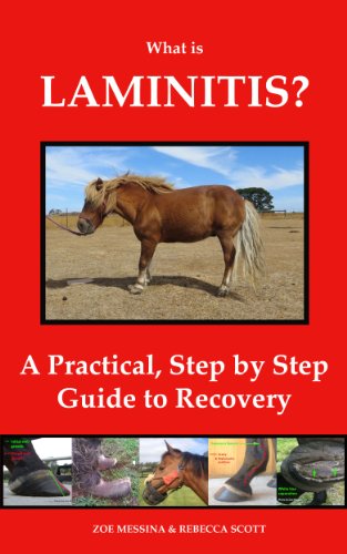 What is Laminitis? - A Practical, Step by Step Guide to Recovery (English Edition)