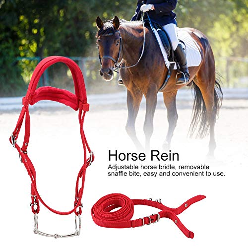XiangXin Strong Horse Rein, Rojo, Robusto, diseño de Dos Pisos, Cabezales de Caballo, para Horse Home