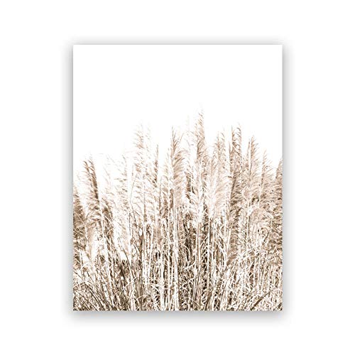 xwwnzdq Pampas Paisaje Natural Lienzo Pintura Cuadros de Pared Decoraciónación Costera Paisaje Playa Foto Carteles Decoraciónación 51x71cmx3 sin Marco