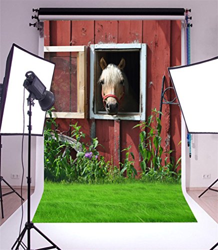 YongFoto 1x1,5m Telón de Fondo Caballo Casa Estable Vaquero Green Grassland Pequeña Pared de Ventana Elegante Fondo para Fotografia Fiesta Niños Boby Retrato Personal Estudio Fotográfico Accesorios