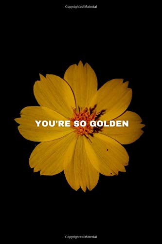 You're So Golden: Harry Styles Notebook, Journal, Notepad | College Ruled 110 Pages 6 "x 9" (15.24 x 22.86 cm)