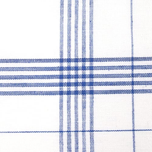 ZOLLNER 10 Trapos de Cocina algodón 100%, a Cuadros Azules y Blancos, 50x70 cm