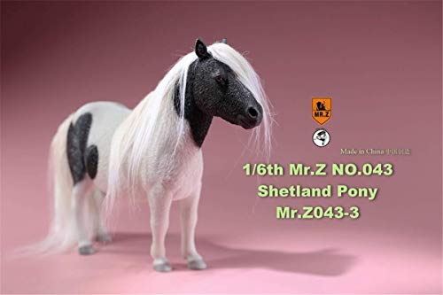 ZSMD 1/6 Shetland Pony Horse Figure Equidae Farm Animal Model Realistic Educational Painted Figure Resin Perissodactyla Toys Collector Home Decoration Gift Birthday for Adult (Black and White)