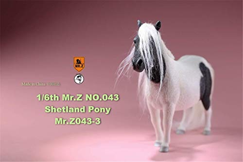 ZSMD 1/6 Shetland Pony Horse Figure Equidae Farm Animal Model Realistic Educational Painted Figure Resin Perissodactyla Toys Collector Home Decoration Gift Birthday for Adult (Black and White)