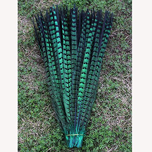 10 plumas de faisán naturales de 30 a 35 cm para manualidades o decoración (verde)