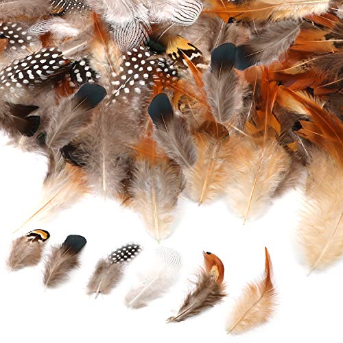 180Pcs 6 Estilos Plumas Artesanales Surtidas, Mwoot Plumas de pollo naturales para DIY Pendiente Alas Dream Catcher Artesanía Actividades Boda Decoración del hogar Fiesta