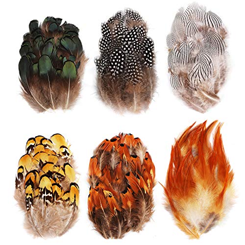 180Pcs 6 Estilos Plumas Artesanales Surtidas, Mwoot Plumas de pollo naturales para DIY Pendiente Alas Dream Catcher Artesanía Actividades Boda Decoración del hogar Fiesta