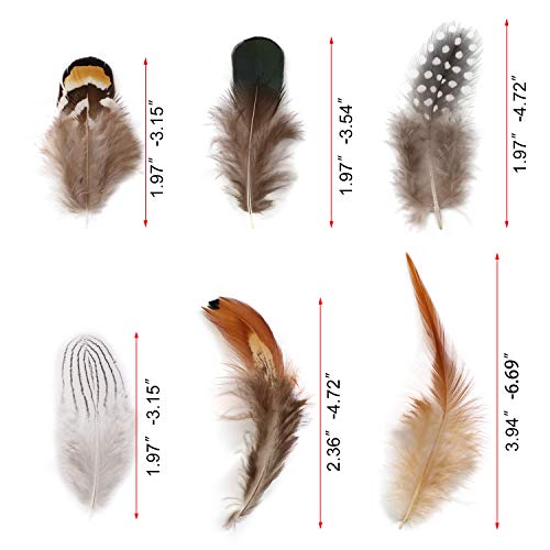 180Pcs 6 Estilos Plumas Artesanales Surtidas, Mwoot Plumas de pollo naturales para DIY Pendiente Alas Dream Catcher Artesanía Actividades Boda Decoración del hogar Fiesta