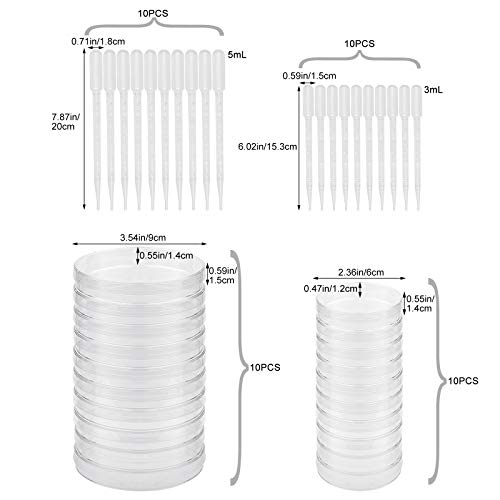 20 bandejas de petri estériles y 20 pipetas de transferencia, de plástico transparente, con tapa para cultivo de laboratorio escolar, proyectos de ciencia justos