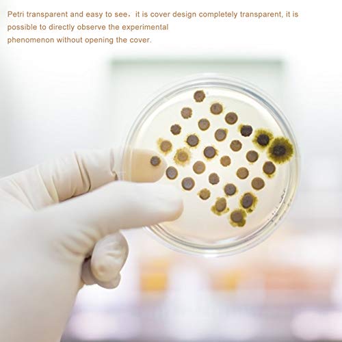 20 bandejas de petri estériles y 20 pipetas de transferencia, de plástico transparente, con tapa para cultivo de laboratorio escolar, proyectos de ciencia justos