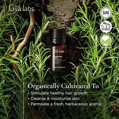 Aceite esencial de romero orgánico de Gya Labs para el crecimiento del cabello, la piel y el enfoque - Bueno para cabello fino y piel grasa - Grado terapéutico 100% puro para aromaterapia - 10 ml