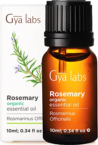 Aceite esencial de romero orgánico de Gya Labs para el crecimiento del cabello, la piel y el enfoque - Bueno para cabello fino y piel grasa - Grado terapéutico 100% puro para aromaterapia - 10 ml