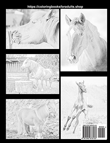 Adult Coloring Books: Horses and Ponies in Grayscale: 45 Realistic Horses and Shetland Ponies for Adults to Color: Volume 7 (Life Escapes Adult Coloring Books)
