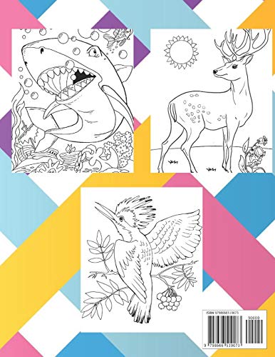 Animales fantásticos - Libro de colorear para niños y niñas
