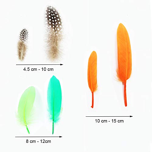 Anyasen Artificial Plumas de Colores 300 Piezas Plumas Manualidades Colores Conjunto de Plumas Mixtas Plumas Manualidades Plumas para Manualidades Plumas de Manchas Coloridas 4.5-15cm