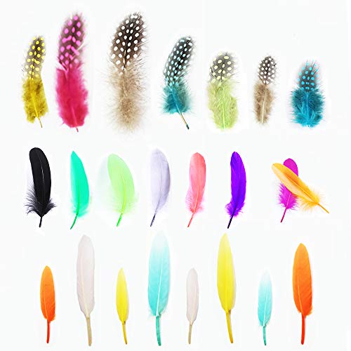 Anyasen Artificial Plumas de Colores 300 Piezas Plumas Manualidades Colores Conjunto de Plumas Mixtas Plumas Manualidades Plumas para Manualidades Plumas de Manchas Coloridas 4.5-15cm