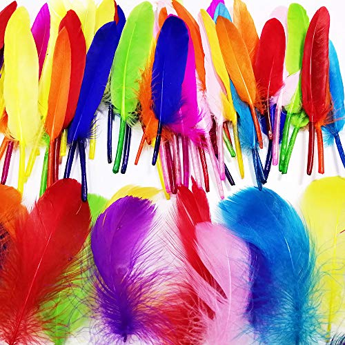 Anyasen Artificial Plumas de Colores 300 Piezas Plumas Manualidades Colores Conjunto de Plumas Mixtas Plumas Manualidades Plumas para Manualidades Plumas de Manchas Coloridas 4.5-15cm