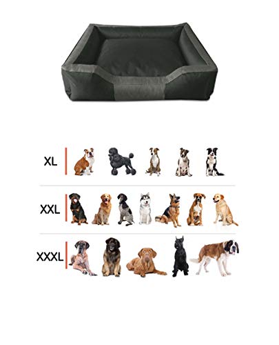 BedDog® Bruno Negro/Naranja XL Aprox. 100x85cm colchón para Perro, 15 Colores, Cama para Perro, sofá para Perro, Cesta para Perro