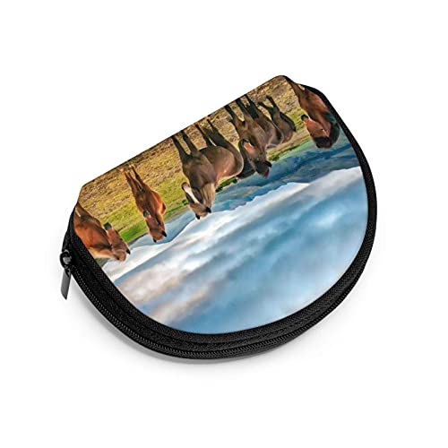 Bolsas de almacenamiento de cosméticos de viaje con diseño de caballos sobre hierba verde Islandia para mujeres y niñas pequeñas monedero monedero monedero monedero