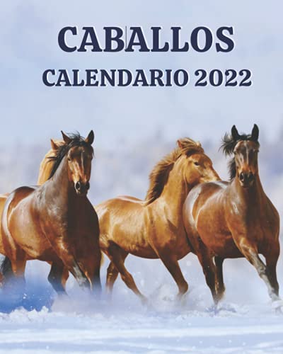 Caballos Calendario 2022: De lunes a domingo con imágenes de hermosos caballos