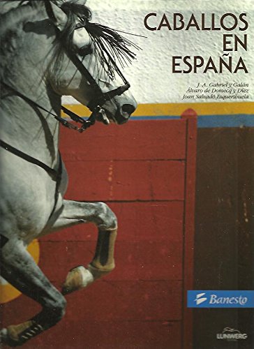 CABALLOS EN ESPAÑA.