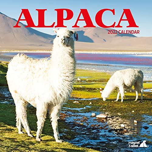 Calendario 2022 de Alpaca