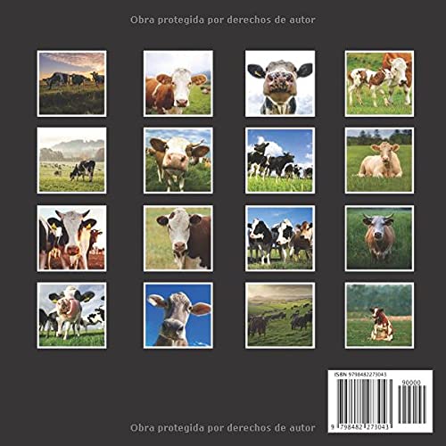 Calendario Académico Vaca Septiembre 2021 - Diciembre 2022: Cuadrado Libro de Fotos Planificador Mensual Académico Calendario de regalo para los amantes del Vaca I Con los días festivos de EE.UU.