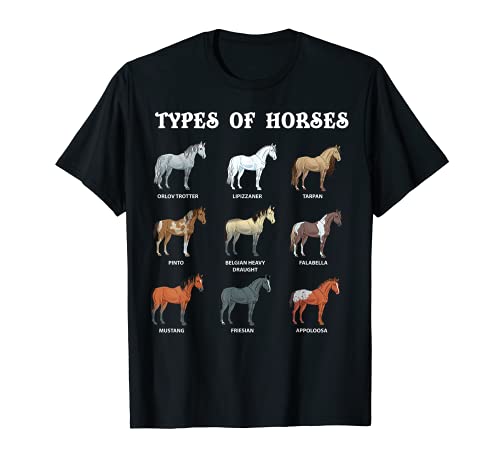 Camiseta para amantes de los caballos con tipos de caballos Camiseta