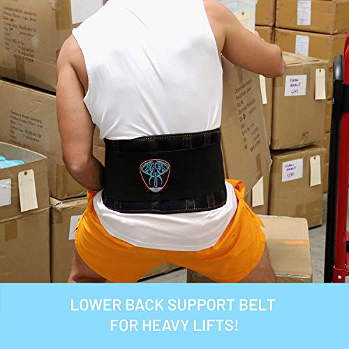 Cinturón Soporte Lumbar por Everyday Medical I Cinturon Lumbar Prevenir Daños para Hombres y Mujer I Faja Lumbar para la Espalda y Terapia de Postura I Ajuste Dual I Lumbar Support Brace I L/XL