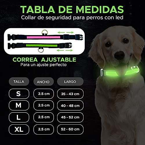 Collar Perro Personalizado con LED, Collar para Perro Luminoso y Personalizado con Nombre y teléfono, Tamaño Ajustable para Perros Pequeños Medianos Grandes (S, Verde con Nombre)