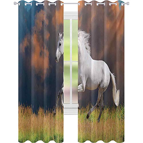 Cortinas de ventana que reducen el ruido, diseño de caballo andaluz con un fondo majestuoso de nubes de polvo, fotos de deseos fuertes, 52 x 72 ancho para sala de estar, blanco, naranja, verde