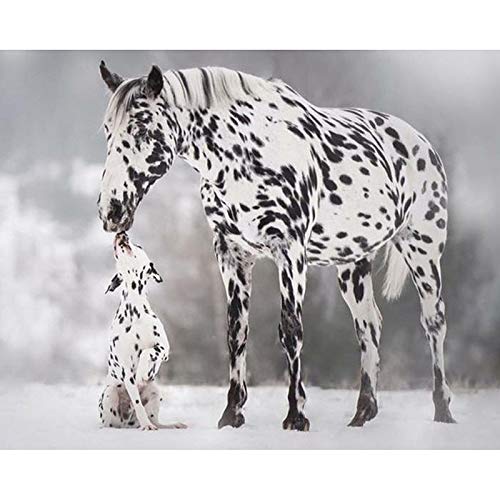 DIY 5D Diamante Pintura Kits, Kit de Pintura de Diamantes 5D Dálmata y caballo Diamond Painting Completo Bordado Punto de Cruz Craft para Home Decoración de la Pared-40x50cm E3511