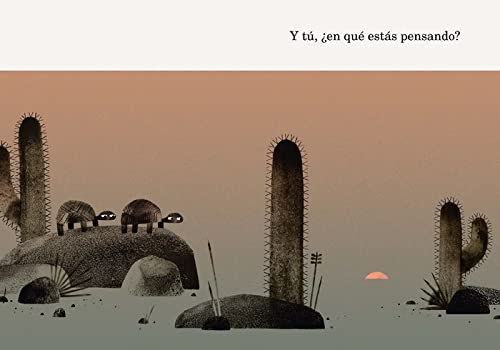 Dos tortugas y un sombrero (Español Somos8)