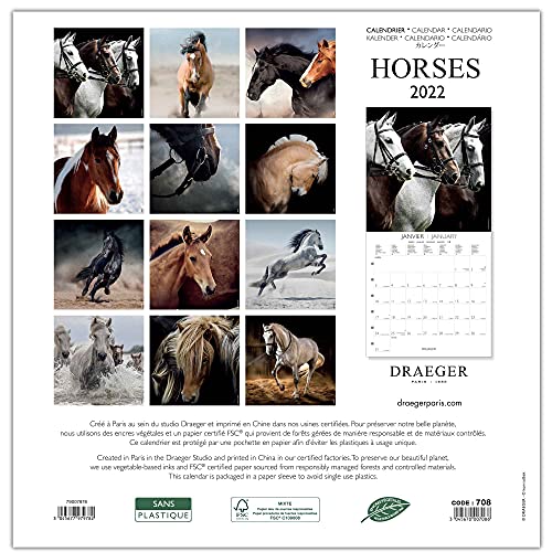 Draeger Paris 2022 - Calendario de pared, diseño de caballo