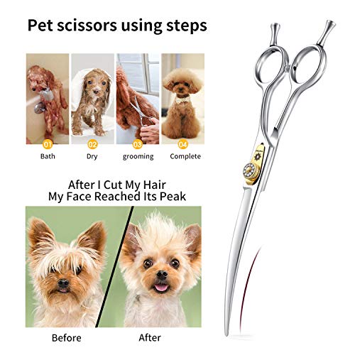 Dream Reach - Juego de tijeras profesionales de peluquería para perros en formas rectas curvas adelgazamiento/mezcla/trocear JP-440C de acero inoxidable para cortar/recortar el pelo de mascotas