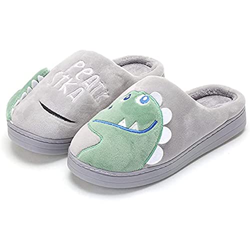 Drecage Zapatillas Casa Mujer Adultos Cute Dinosaur Warm Soft Plush House Shoes Antideslizante Zapatos de algodón Hombres y Mujeres 35-36 EU Largo del Pie 220MM