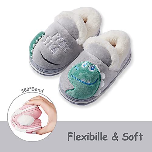 Drecage Zapatillas de Estar por Casa para Niñas Niños Invierno Peluche Pantuflas de Dinosaurio,Antideslizantes Zapatillas Niños 24/25 EU(Tamaño de la Etiqueta 18-19)