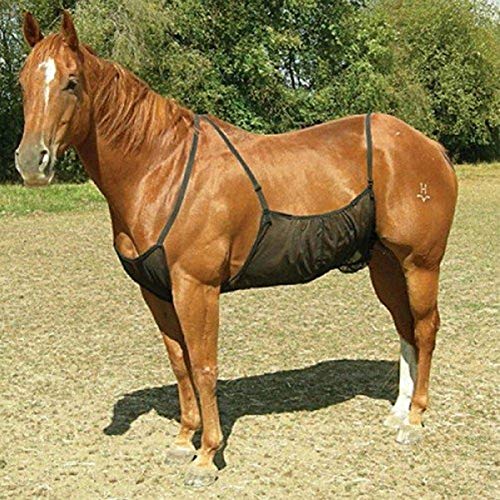 DUMGRN Red antimosquitos para el abdomen de caballo, cubierta protectora ajustable de malla para el vientre