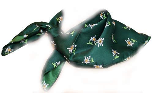 Edelnice Trachtenmode - Pañuelo - Floral - para mujer verde oscuro talla única