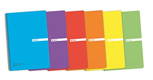 Enri, Cuaderno A4 (Folio), cuadrícula 4x4, tapa plástico, 80 hojas, pack de 5 unidades, colores aleatorios