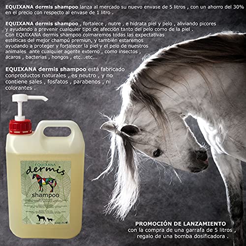 EQUIXANA DERMIS SHAMPOO 5.000 ML