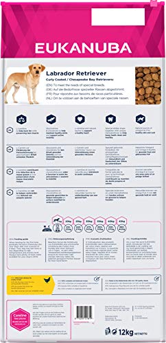 EUKANUBA Breed Specific Alimento seco para perros labrador retriever adultos, alimento para perros óptimamente adaptado a la raza 12 kg
