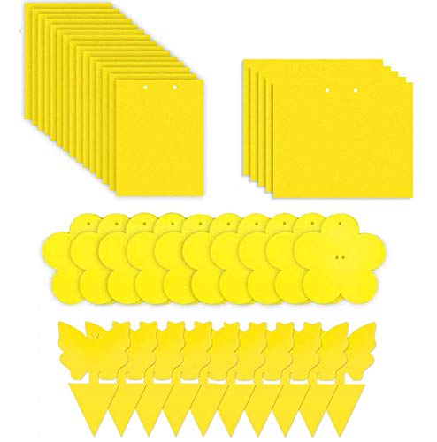 Evance 80 Piezas Trampas de Mosca Pegajosas de Doble Cara Amarillas para Insectos de Planta, Trampas Adhesivas Dobles(Amarilla)