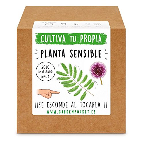 Garden Pocket - Kit Cultivo Planta Sensible