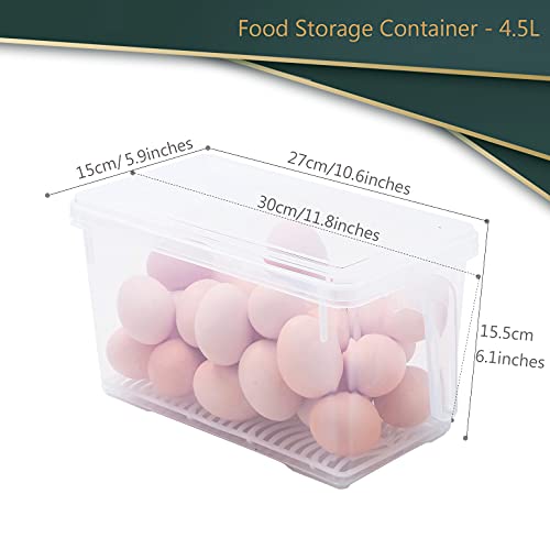 HapiLeap Organizador de Alimentos Para Cocina/Congelador, contenedor Transparente Con Tapa y Asa (3 Pack)